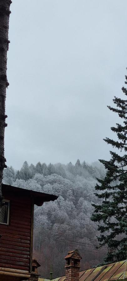 SOPHIE Apart BelleView Sinaia Exterior foto